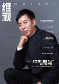 张红伟编著的《维视》杂志期刊